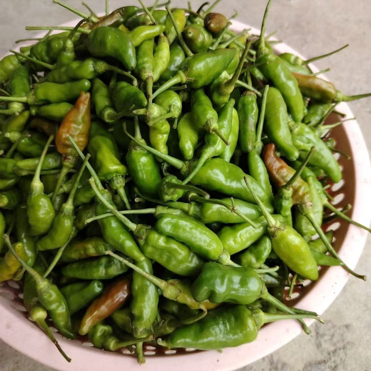 广西农家野山辣椒特辣