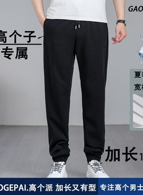 青少年高个子加长117cm运动裤夏季薄款高腰束脚纯色净版2488