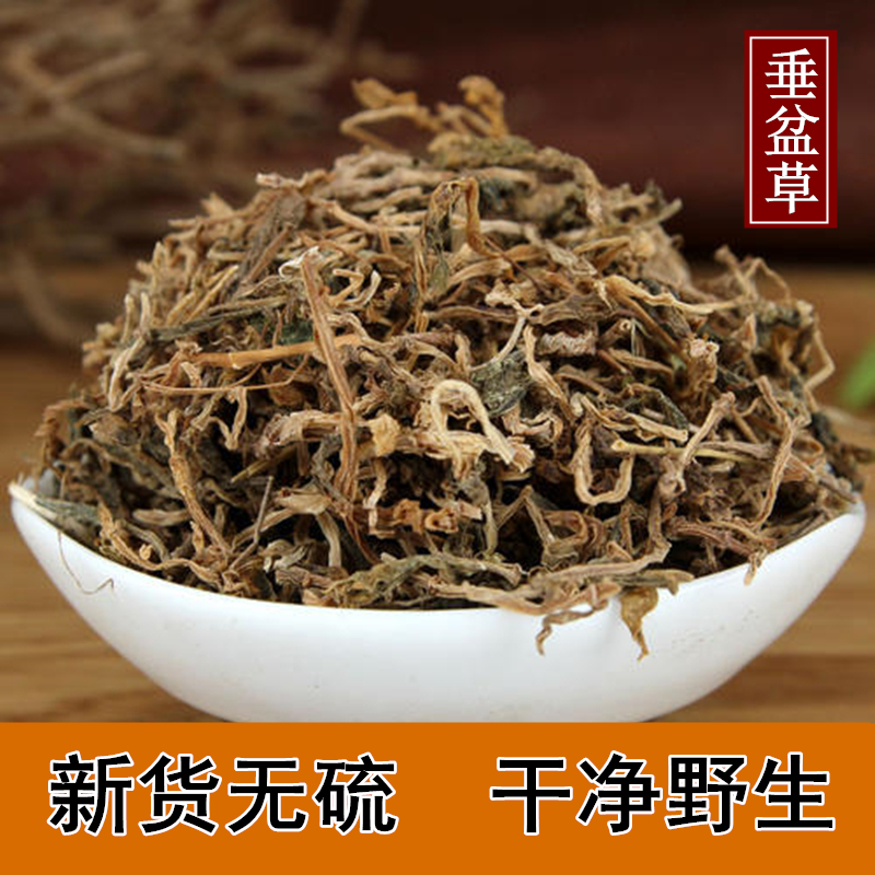 正品新货水洗干净垂盆草500克包邮佛甲草山护花瓜子草