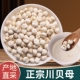 精选特级四川贝母正品 川贝粒阿坝松贝抱月天然无硫100克可磨粉