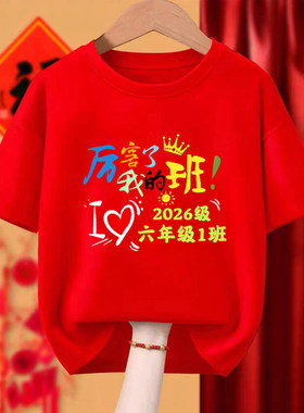 毕业班服定制短袖学生六年级t恤