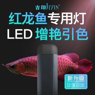 吉印龙鱼引色灯红龙鱼灯鱼缸专用灯led灯防水灯管潜水照明增艳灯
