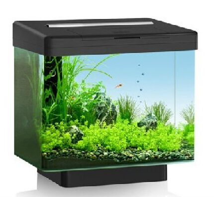 原装正品JUWEL德国黑钻迷你生态静音鱼缸VIO40 小型 水族箱 LED灯