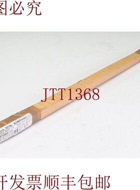 原装供应力士乐 R160510431,KSA-015-SNS-N-MA-AK,导轨,L=515m