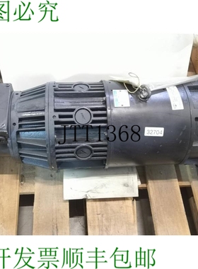 原装供应系统RIEBE Dresden WSMZ-134.38-12313 伺服电机 直流电