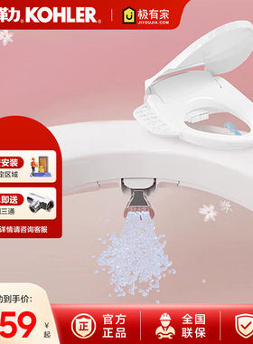 科勒女王座前净柔泉妇洗智能马桶盖妇洗喷管自清洁双管双喷38388