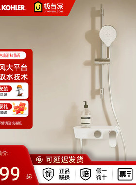 科勒斐然花洒龙头挂墙式卫生间小户型增压花洒喷头36522T