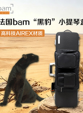 法国bam黑豹系列超轻小提琴盒