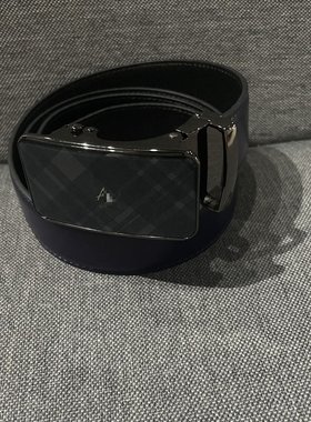 XP359  雷迪卡丹美裹推荐男士不锈钢自动扣简约大气腰带