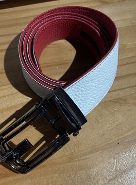 XP332    雷迪卡丹美裹推荐男士不锈钢自动扣简约大气腰带