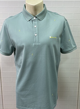 DY316       XL凯迪东凯路易兰男士商务休闲百搭翻领t恤短袖