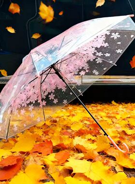 长柄透明雨伞粉色樱花日本网红小清新ins儿童女孩学生自动透明伞