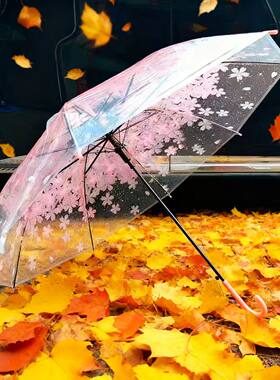 长柄透明粉色樱花雨伞