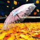 长柄透明雨伞粉色樱花日本网红小清新ins儿童女孩学生自动透明伞