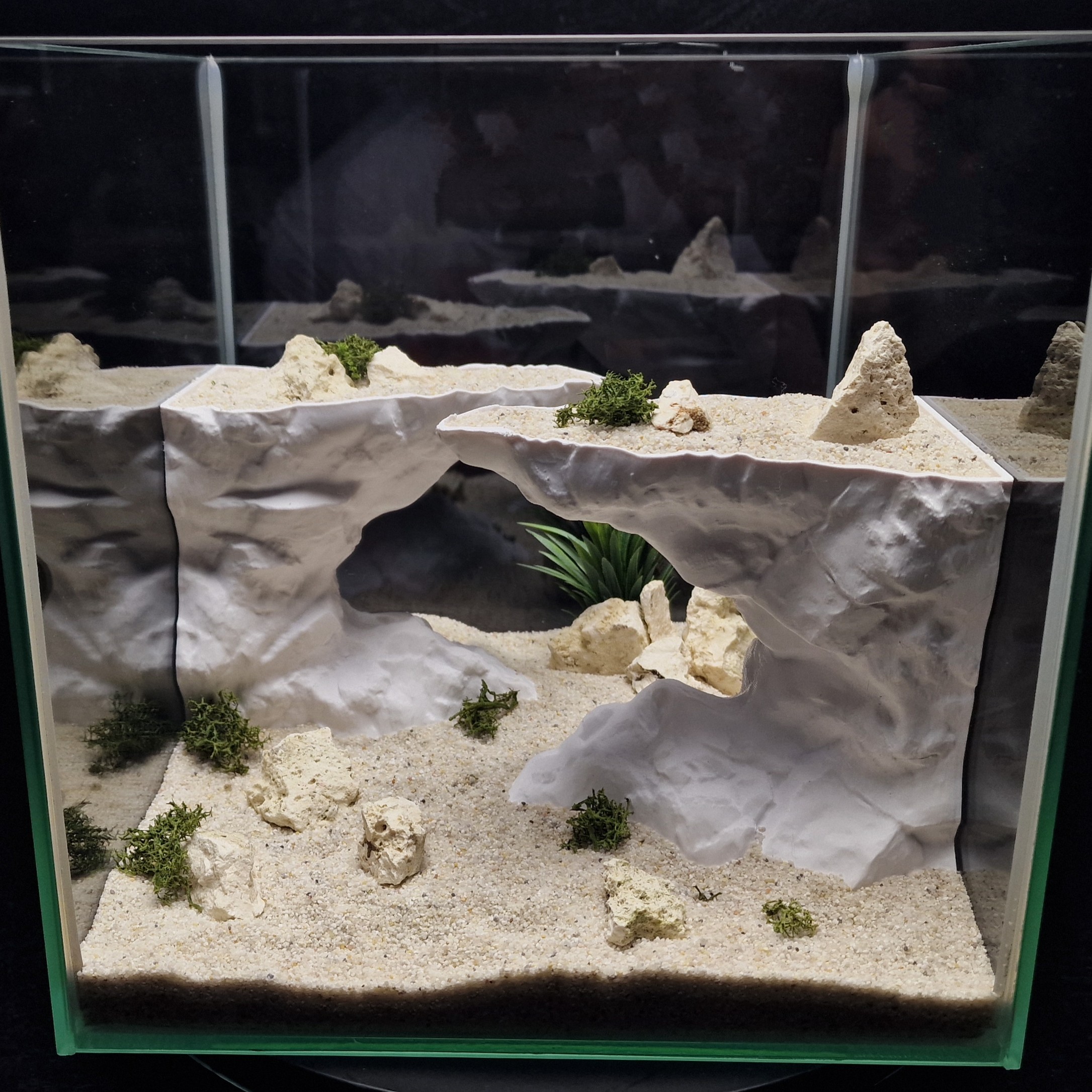 爬宠缸爬虫守宫造景装饰