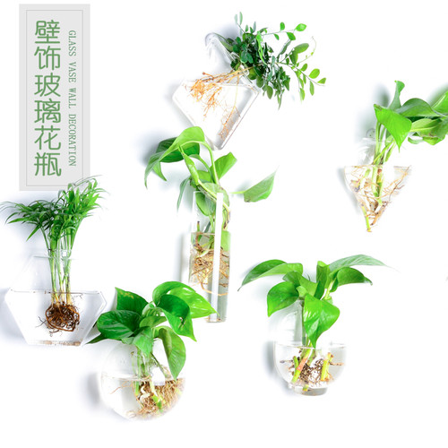 壁挂花瓶玻璃创意客厅水培墙上