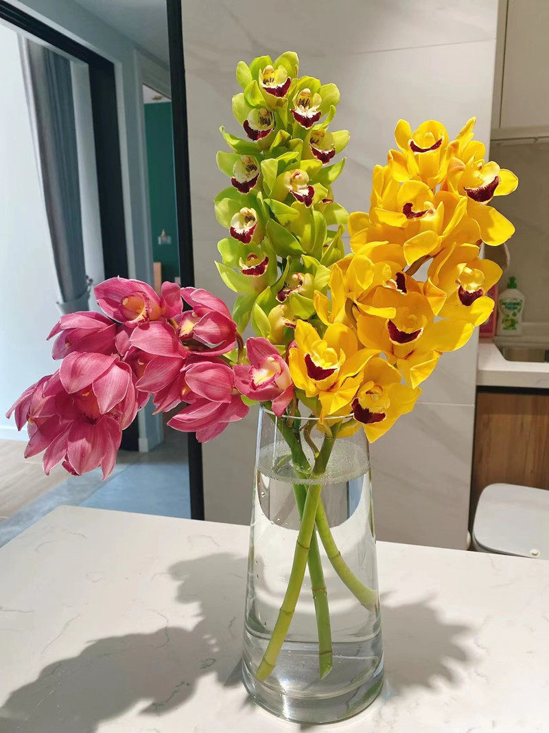 大花蕙兰鲜切多色上海鲜花速递兰花家用瓶插花艺顺丰特快包邮