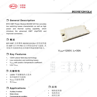 BYDBG35E12H13L4IGBT模块