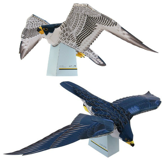 儿童手工折纸diy拼装益智立体3d纸质模型制作动物鸟老鹰鹰隼游隼