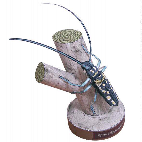 儿童手工折纸diy拼装益智立体纸质模型仿真昆虫天牛益智玩具制作