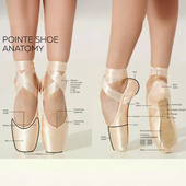 脚尖鞋 俄罗斯进口grishko芭蕾舞蹈足尖鞋 合集 多款 福生若舞