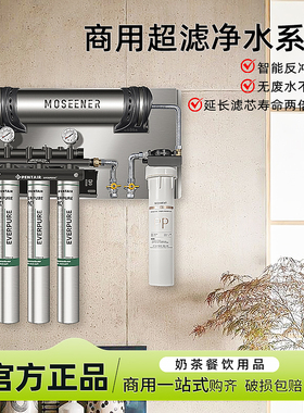 超滤过滤器爱惠浦商用净水器MC2双联三联专用大流量奶茶店咖啡店