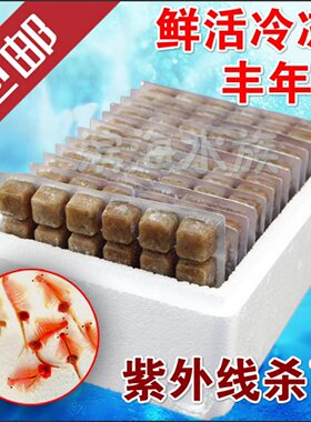 渤海湾岳氏旺族冷冻丰年虾小型鱼