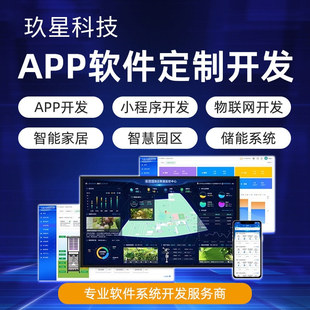 APP小程序软件定制开发源码交付短剧同城物联网智慧园区网站建设
