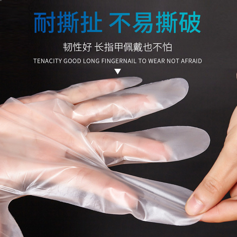 加厚一次性手套/TPE防油透明餐饮