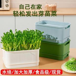 育苗盘种植发芽盆大容量家用豆芽机发豆芽专用盆神器生黄绿豆芽罐