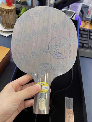 底板斯帝卡许昕金标蓝标