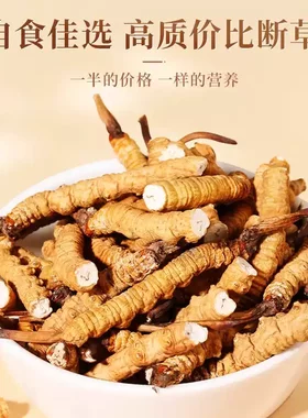 断草冬虫夏草自吃营养滋补品送长辈送父母礼盒装精选虫草