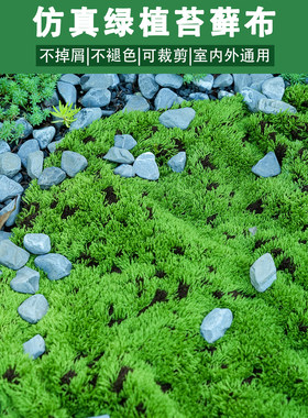 仿真绿植苔藓地毯草坪造景不掉屑