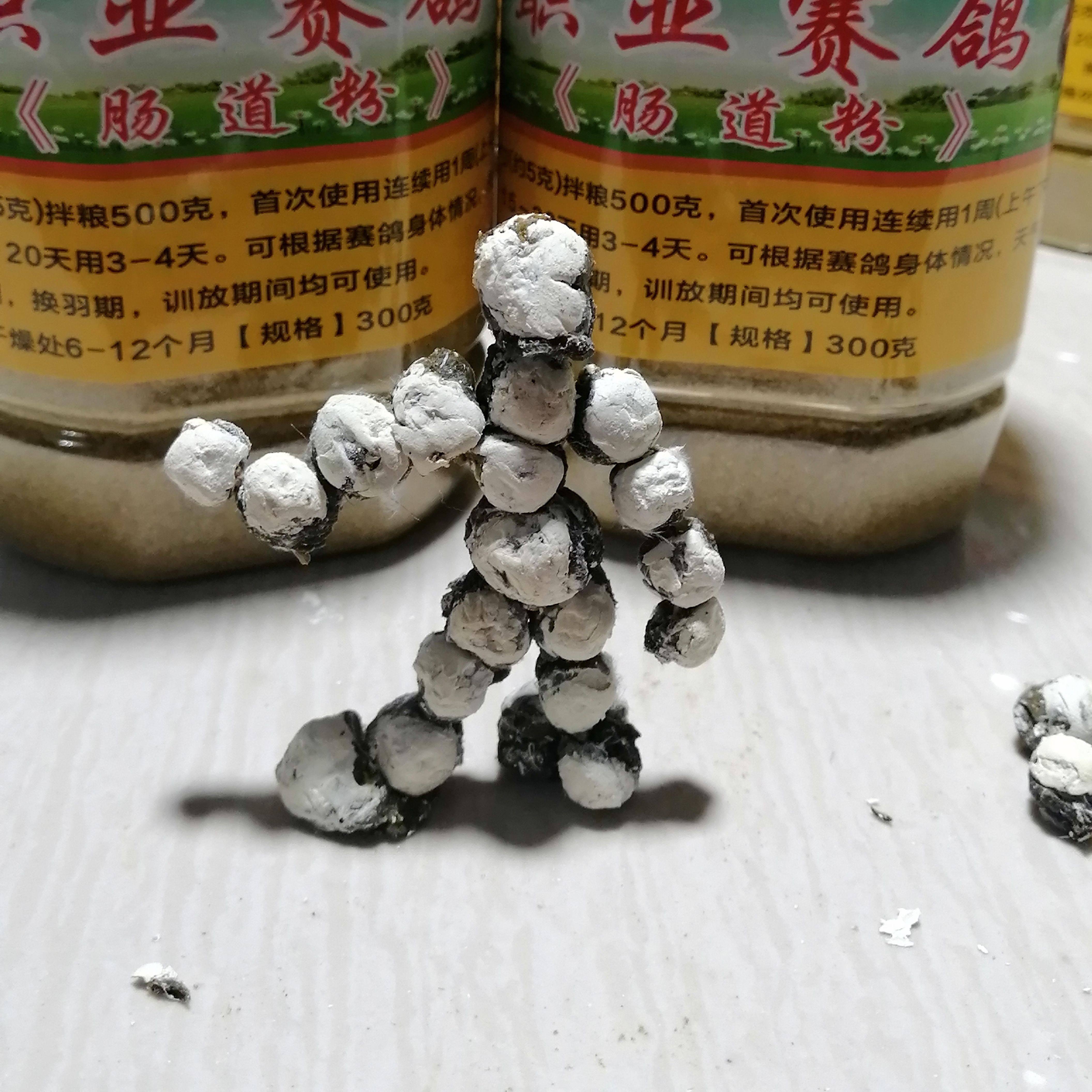 职业赛鸽【肠道粉+整肠宝】 水稀绿便 寄养棚使用 种鸽 信鸽 包邮