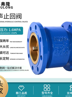 HC41X-16法兰消声止回阀 消音立卧式单向阀dn40 50 65 80 100 150