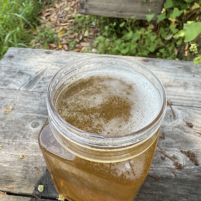 绿湖蜂农保纯保真新蜜荔枝蜜
