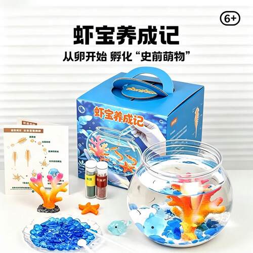 虾宝养成记科学孵化养殖观察实验