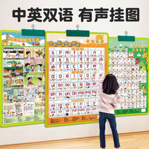 新款儿童早教双面有声挂图｜国际