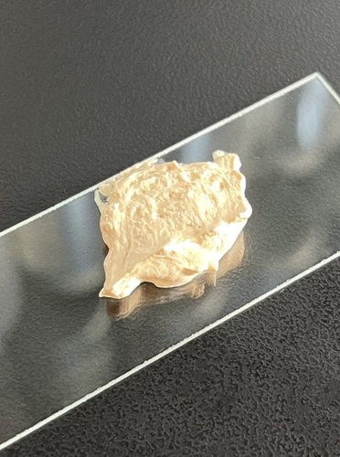 素颜霜50g。细腻一点，均匀一点（和bb霜同色粉，更润泽自然）