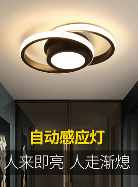 北欧LED感应灯楼梯灯吸顶灯过道楼道走廊人体自动感应雷达声控灯