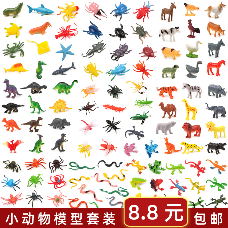 野生海洋小恐龙农场蜥蜴昆虫
