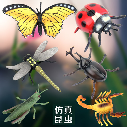 道具七星蝗虫蜻蜓蝴蝶儿童早教