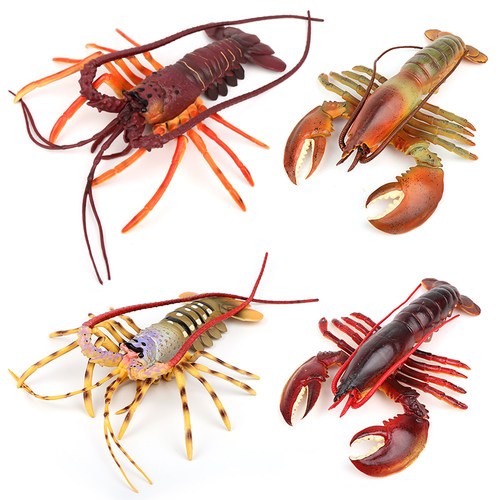 模型澳洲生物波士顿摆件仿真龙虾