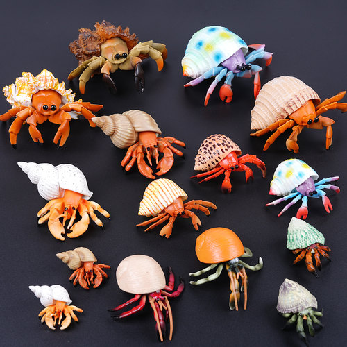 仿真寄居蟹模型海洋动物生物