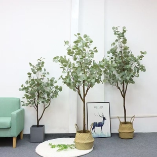 仿真绿植级感尤加利盆栽家居室内装饰大型落地假树金钱树植物
