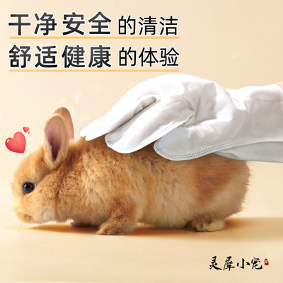 干干净净细菌再见兔兔清洁手套