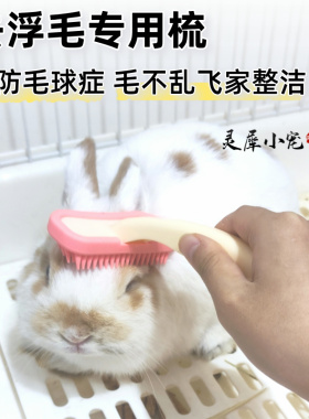 硅胶梳按摩去浮毛梳子兔子梳毛龙猫豚鼠土拨鼠荷兰猪专用刮毛器