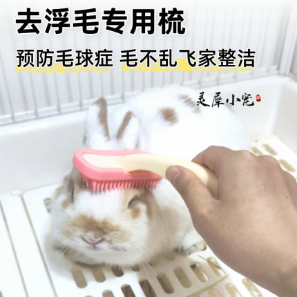 硅胶梳按摩去浮毛梳子兔子梳毛龙猫豚鼠土拨鼠荷兰猪专用刮毛器