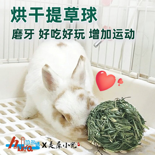 好吃好玩还健康提摩西草球