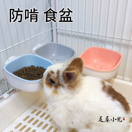 荷兰猪兔兔专用防啃咬食盆